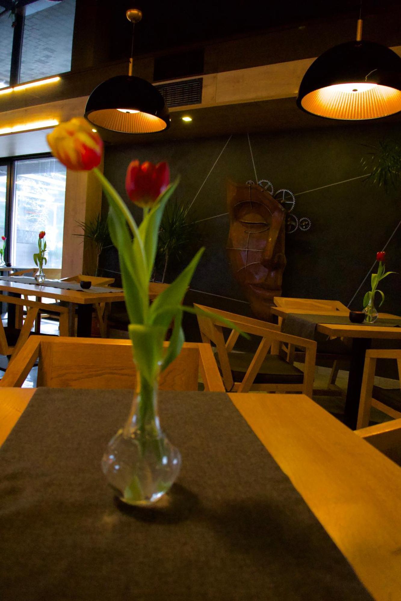 שצ'קלארסקה פוראובה Hotel Jakuszyce Sport & Spa מראה חיצוני תמונה